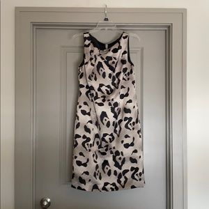 Ann Taylor cheetah print business casual dress